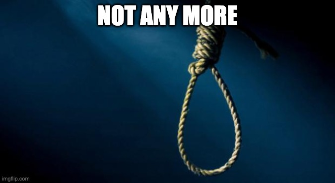 Noose | NOT ANY MORE | image tagged in noose | made w/ Imgflip meme maker