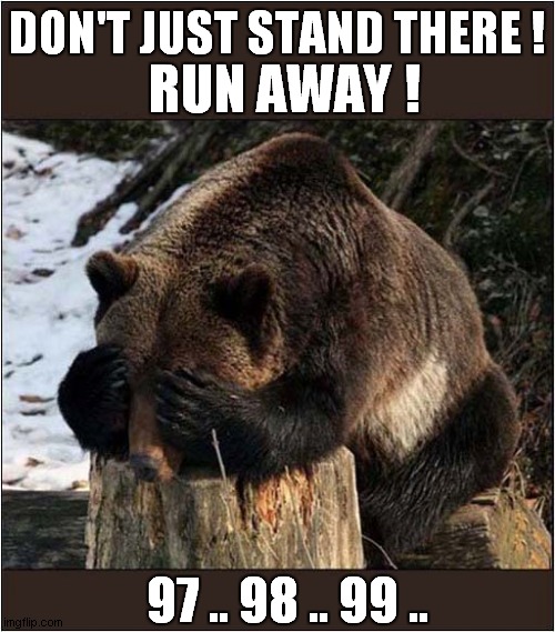 High Stakes Hide And Seek ! | DON'T JUST STAND THERE ! RUN AWAY ! 97 .. 98 .. 99 .. | image tagged in bears,hide and seek,dark humour | made w/ Imgflip meme maker