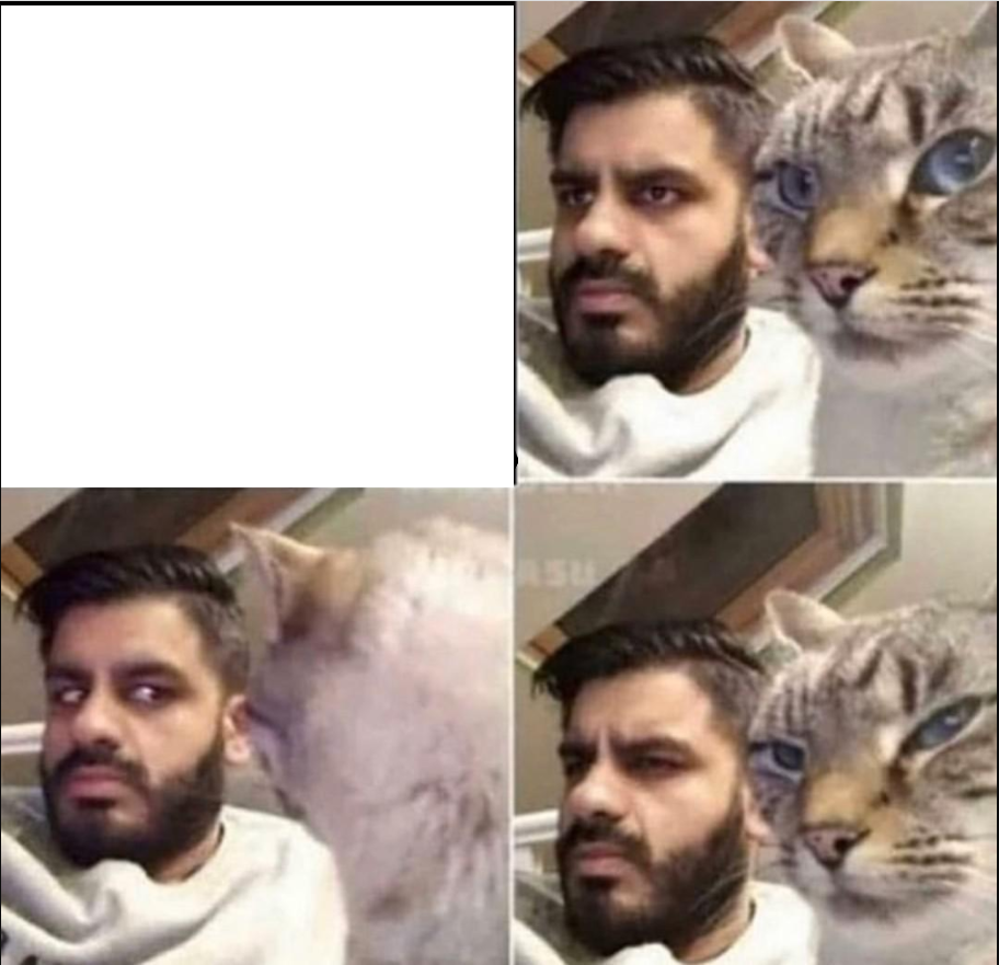 Cat and Man Blank Meme Template