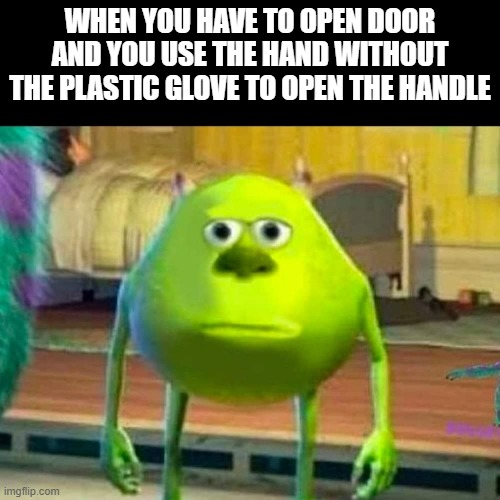 Monsters inc | WHEN YOU HAVE TO OPEN DOOR AND YOU USE THE HAND WITHOUT THE PLASTIC GLOVE TO OPEN THE HANDLE | image tagged in monsters inc | made w/ Imgflip meme maker
