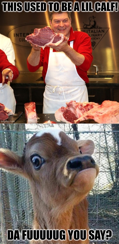 Mmmmmmmm! Fresh meat! | image tagged in calf,cows,fresh,meat,nom nom nom | made w/ Imgflip meme maker
