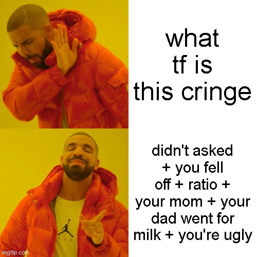 Drake Hotline Bling Meme | what tf is this cringe didn't asked + you fell off + ratio + your mom + your dad went for milk + you're ugly | image tagged in memes,drake hotline bling | made w/ Imgflip meme maker