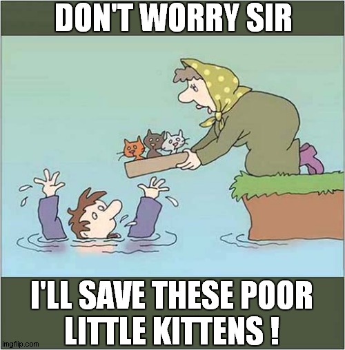 Rescue Priorities ! | DON'T WORRY SIR; I'LL SAVE THESE POOR
LITTLE KITTENS ! | image tagged in cats,kittens,cartoon,priorities | made w/ Imgflip meme maker