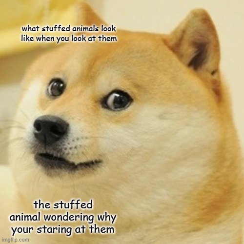 Doge Meme | what stuffed animals look like when you look at them; the stuffed animal wondering why your staring at them | image tagged in memes,doge | made w/ Imgflip meme maker