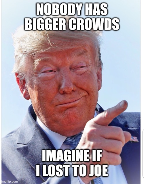 Trump pointing | NOBODY HAS BIGGER CROWDS; IMAGINE IF I LOST TO JOE | image tagged in trump pointing | made w/ Imgflip meme maker