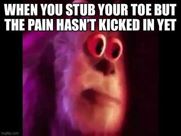 ouch | WHEN YOU STUB YOUR TOE BUT THE PAIN HASN’T KICKED IN YET | image tagged in sully groan | made w/ Imgflip meme maker