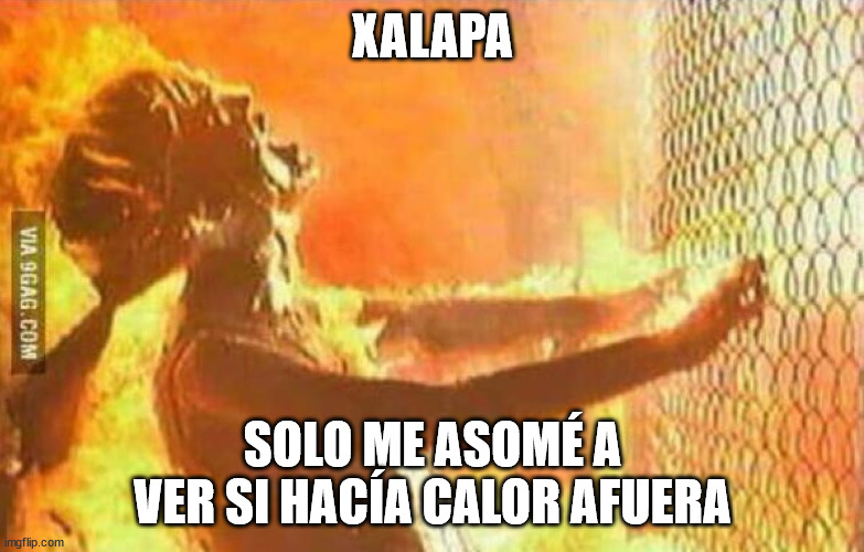 Calor Boricua | XALAPA; SOLO ME ASOMÉ A VER SI HACÍA CALOR AFUERA | image tagged in calor boricua | made w/ Imgflip meme maker