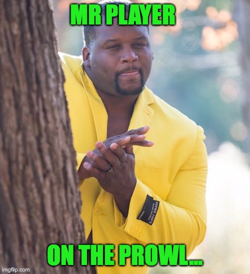 Black guy hiding behind tree | MR PLAYER; ON THE PROWL... | image tagged in black guy hiding behind tree | made w/ Imgflip meme maker