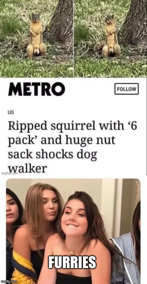 FURRIES | image tagged in nuts,horny girl | made w/ Imgflip meme maker