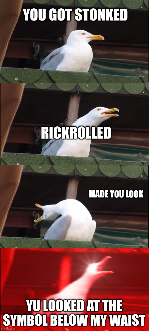 Middle School kids reactions to sayings and tricks that are old. | YOU GOT STONKED; RICKROLLED; MADE YOU LOOK; YU LOOKED AT THE SYMBOL BELOW MY WAIST | image tagged in memes,inhaling seagull | made w/ Imgflip meme maker