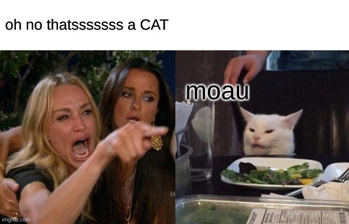 moum | oh no thatsssssss a CAT; moau | image tagged in memes,woman yelling at cat | made w/ Imgflip meme maker
