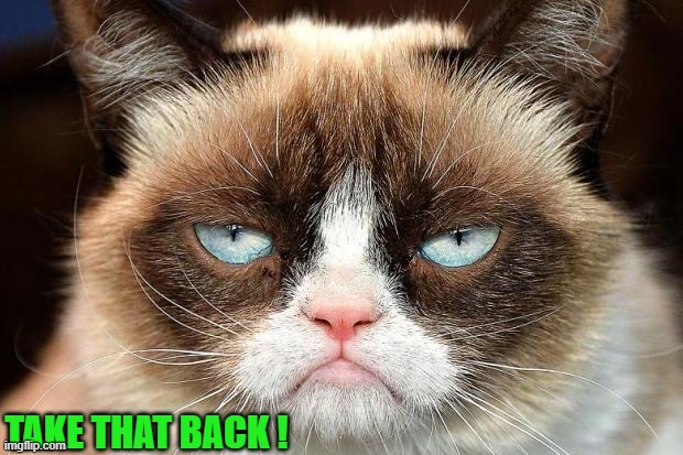 Grumpy Cat Not Amused Meme | TAKE THAT BACK ! | image tagged in memes,grumpy cat not amused,grumpy cat | made w/ Imgflip meme maker