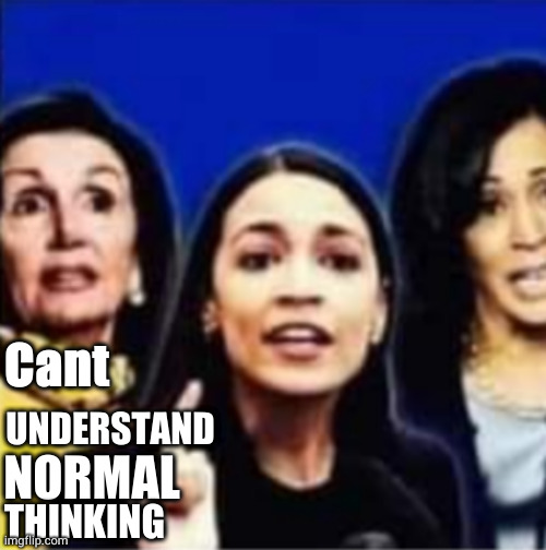 UNDERSTAND; Cant; NORMAL; THINKING | image tagged in the retarded left | made w/ Imgflip meme maker