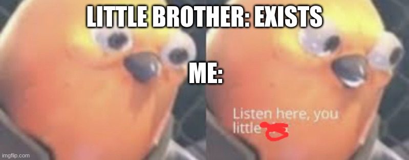 Listen here you little shit bird | LITTLE BROTHER: EXISTS; ME: | image tagged in listen here | made w/ Imgflip meme maker