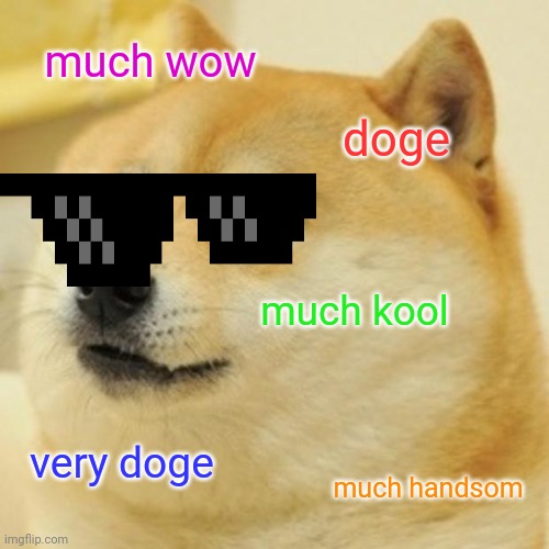 much doge | much wow; doge; much kool; very doge; much handsom | image tagged in memes,doge | made w/ Imgflip meme maker