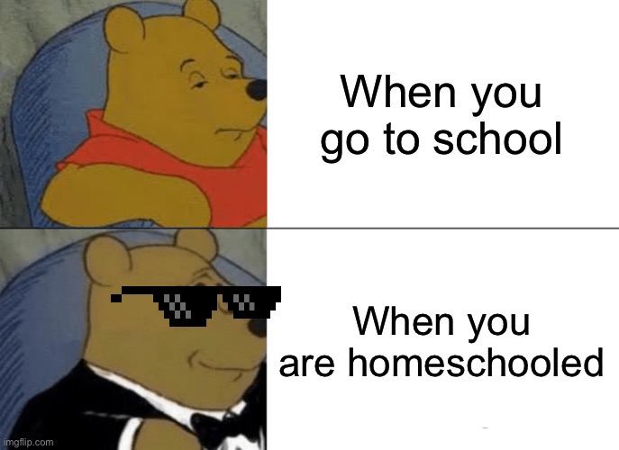 Tuxedo Winnie The Pooh Meme | When you go to school; When you are homeschooled | image tagged in memes,tuxedo winnie the pooh | made w/ Imgflip meme maker
