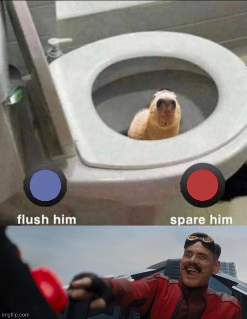 FLUSH HIM | image tagged in memes | made w/ Imgflip meme maker