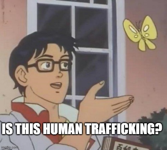 Butterfly Sanctuary attacked by MAGA | IS THIS HUMAN TRAFFICKING? | image tagged in is this butterfly | made w/ Imgflip meme maker