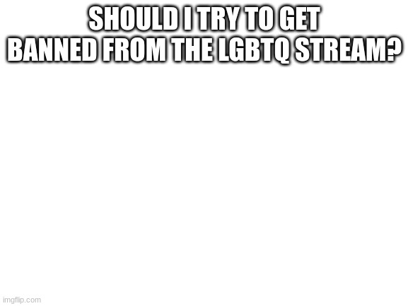 i am afraid that everyone is going to say yes | SHOULD I TRY TO GET BANNED FROM THE LGBTQ STREAM? | image tagged in blank white template | made w/ Imgflip meme maker