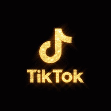 High Quality Tik tok Blank Meme Template