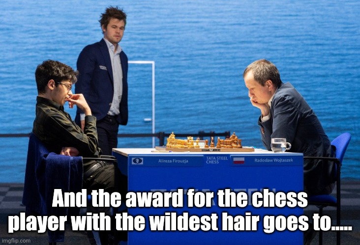 Magnus Carlsens wild hair. |  And the award for the chess player with the wildest hair goes to..... | image tagged in funny | made w/ Imgflip meme maker