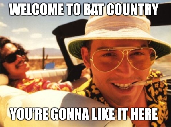 Bat country | WELCOME TO BAT COUNTRY; YOU’RE GONNA LIKE IT HERE | image tagged in funny | made w/ Imgflip meme maker