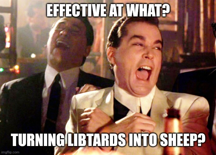 Good Fellas Hilarious Meme | EFFECTIVE AT WHAT? TURNING LIBTARDS INTO SHEEP? | image tagged in memes,good fellas hilarious | made w/ Imgflip meme maker