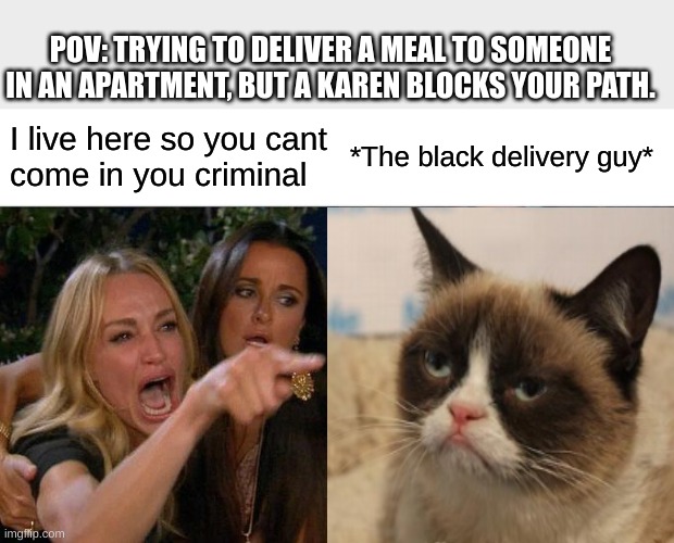 POV: TRYING TO DELIVER A MEAL TO SOMEONE IN AN APARTMENT, BUT A KAREN BLOCKS YOUR PATH. I live here so you cant
come in you criminal; *The black delivery guy* | image tagged in memes,woman yelling at cat | made w/ Imgflip meme maker
