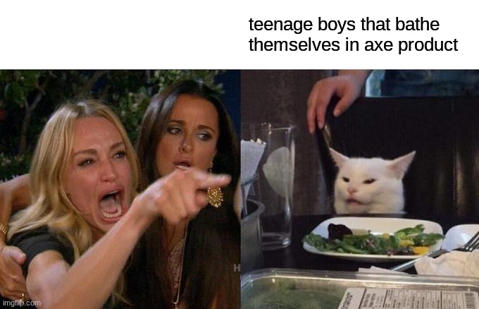 Axe deodorant, antispearant, body wash, and body spray | teenage boys that bathe themselves in axe product | image tagged in memes,woman yelling at cat | made w/ Imgflip meme maker