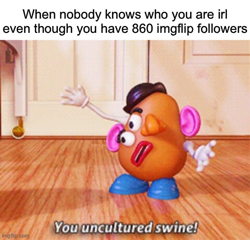 You uncultured swine | When nobody knows who you are irl even though you have 860 imgflip followers | image tagged in you uncultured swine | made w/ Imgflip meme maker