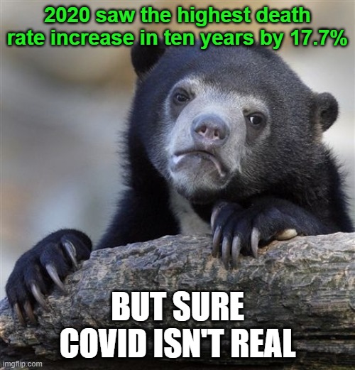 It doesn't take a rocket scientist to see the correlation | 2020 saw the highest death rate increase in ten years by 17.7%; BUT SURE COVID ISN'T REAL | image tagged in memes,confession bear,covid,death rate | made w/ Imgflip meme maker