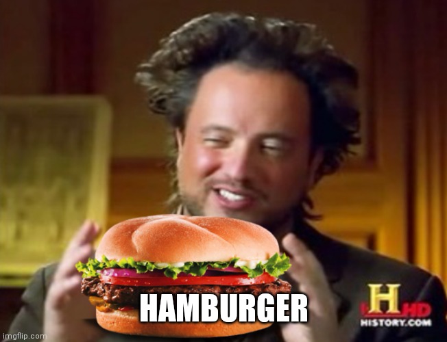 Mr history hamburger  | HAMBURGER | image tagged in mr history hamburger | made w/ Imgflip meme maker