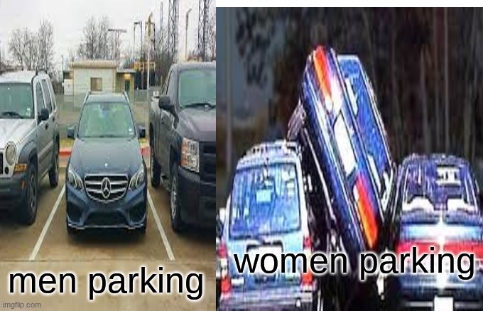 its true tho | women parking; men parking | image tagged in car,bad parking,perfection,bro not cool,roblox,fortnite | made w/ Imgflip meme maker