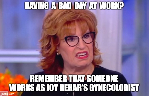 HAVING  A  BAD  DAY  AT  WORK? REMEMBER THAT SOMEONE WORKS AS JOY BEHAR'S GYNECOLOGIST | image tagged in joy behar,work | made w/ Imgflip meme maker