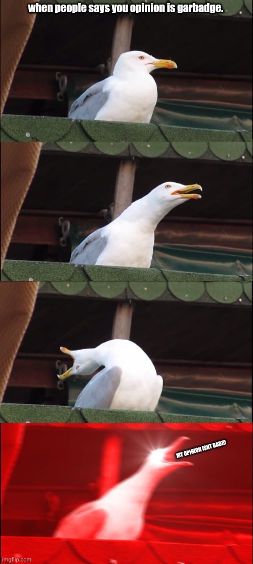 When someone says your opinion is garbadge. | when people says you opinion is garbadge. MY OPINION ISNT BAD!!! | image tagged in memes,inhaling seagull | made w/ Imgflip meme maker