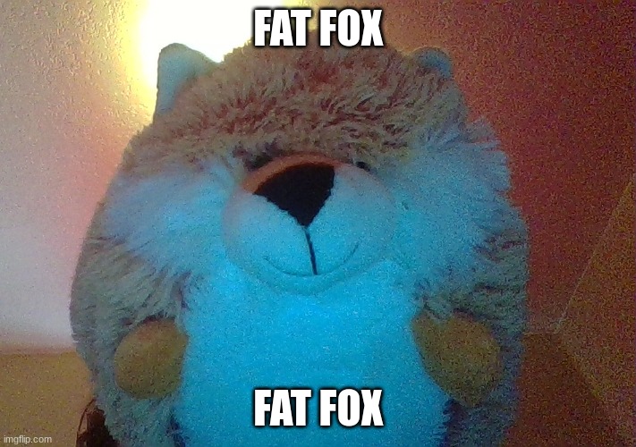 FAT FOX | FAT FOX; FAT FOX | image tagged in memes | made w/ Imgflip meme maker