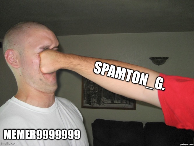 Face punch | SPAMTON_G. MEMER9999999 | image tagged in face punch | made w/ Imgflip meme maker