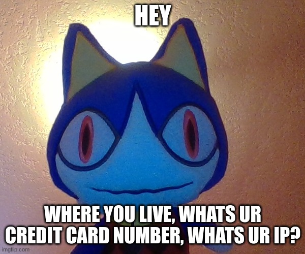 ROVER | HEY; WHERE YOU LIVE, WHATS UR CREDIT CARD NUMBER, WHATS UR IP? | image tagged in memes | made w/ Imgflip meme maker