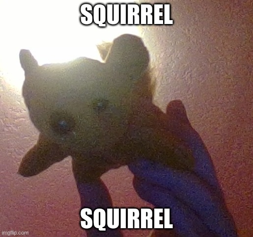 SQUIRREL | SQUIRREL; SQUIRREL | image tagged in squirrel | made w/ Imgflip meme maker