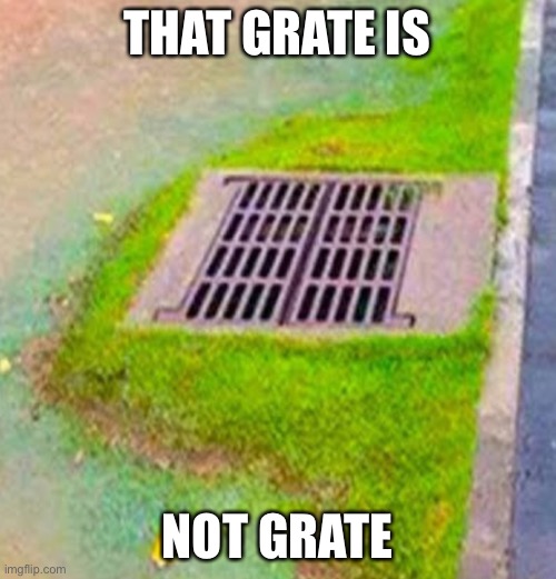 THAT GRATE IS; NOT GRATE | image tagged in meme | made w/ Imgflip meme maker