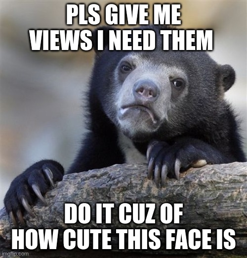 Confession Bear Meme | PLS GIVE ME VIEWS I NEED THEM; DO IT CUZ OF HOW CUTE THIS FACE IS | image tagged in memes,confession bear | made w/ Imgflip meme maker
