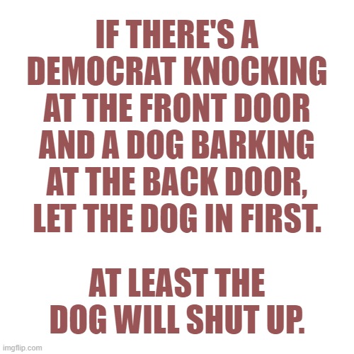 Here is wisdom... | IF THERE'S A DEMOCRAT KNOCKING AT THE FRONT DOOR AND A DOG BARKING AT THE BACK DOOR, LET THE DOG IN FIRST. AT LEAST THE DOG WILL SHUT UP. | image tagged in memes,democrats | made w/ Imgflip meme maker