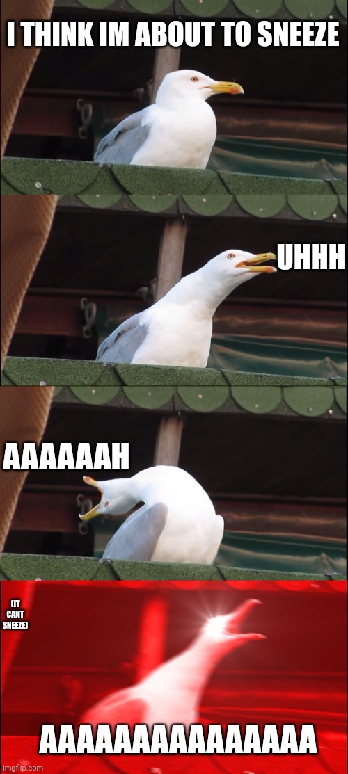 Inhaling Seagull Meme | I THINK IM ABOUT TO SNEEZE; UHHH; AAAAAAH; (IT CANT SNEEZE); AAAAAAAAAAAAAAA | image tagged in memes,inhaling seagull | made w/ Imgflip meme maker