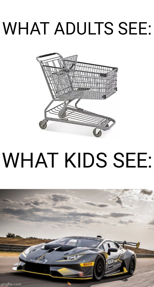 Shopping Cart = Supercar | WHAT ADULTS SEE:; WHAT KIDS SEE: | image tagged in shopping cart,car,funny,memes,funny memes,gifs | made w/ Imgflip meme maker