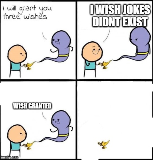 oof bro | I WISH JOKES DIDNT EXIST; WISH GRANTED | image tagged in i will grant you three wishes | made w/ Imgflip meme maker