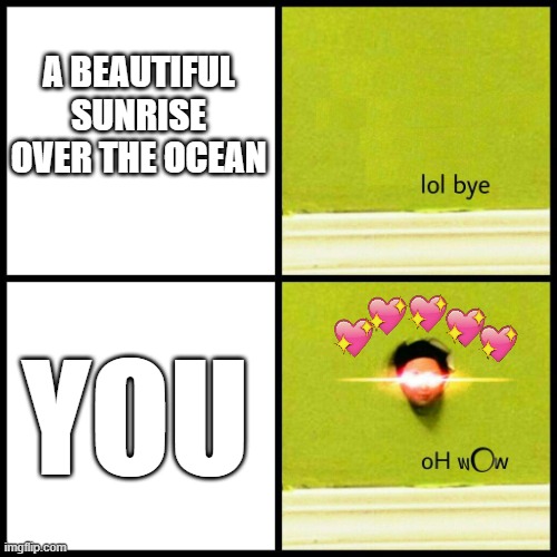 oh MY | A BEAUTIFUL SUNRISE OVER THE OCEAN; YOU | image tagged in lol bye oh wow,wholesome | made w/ Imgflip meme maker