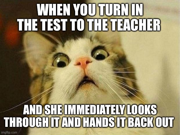 You dun goofed up | WHEN YOU TURN IN THE TEST TO THE TEACHER; AND SHE IMMEDIATELY LOOKS THROUGH IT AND HANDS IT BACK OUT | image tagged in memes,scared cat,oh no,chuckles im in danger,school | made w/ Imgflip meme maker