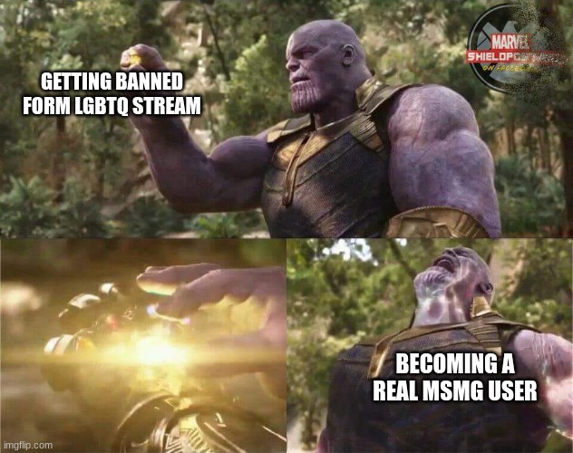 rite of passage | GETTING BANNED FORM LGBTQ STREAM; BECOMING A REAL MSMG USER | image tagged in thanos mind stone | made w/ Imgflip meme maker