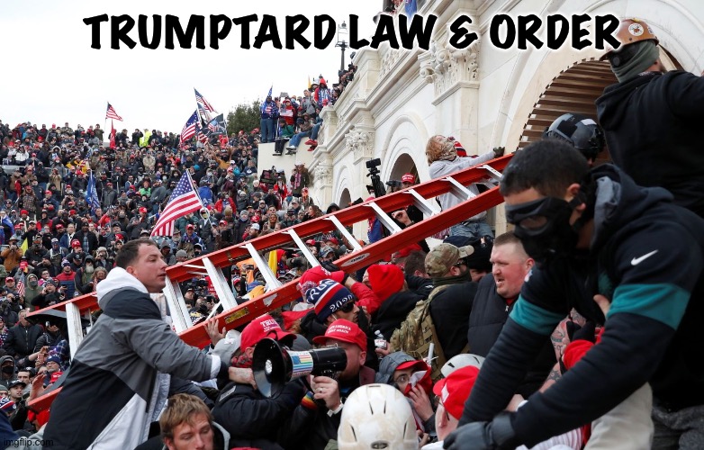 Qanon - Insurrection - Trump riot - sedition | TRUMPTARD LAW & ORDER | image tagged in qanon - insurrection - trump riot - sedition | made w/ Imgflip meme maker