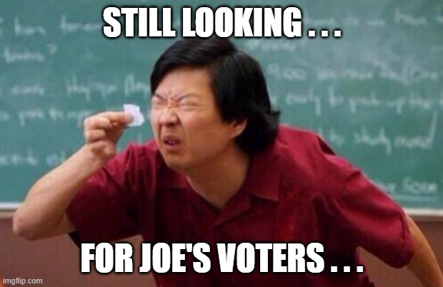 List of people I trust | STILL LOOKING . . . FOR JOE'S VOTERS . . . | image tagged in list of people i trust | made w/ Imgflip meme maker